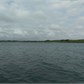 Thumbnail for '2016-06-05 16.09.50.jpg'