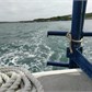 Thumbnail for '2016-06-05 16.09.58.jpg'