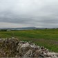 Thumbnail for '2016-06-06 17.19.17.jpg'