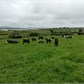 Thumbnail for '2016-06-07 15.21.05.jpg'