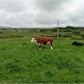 Thumbnail for '2016-06-07 15.21.09.jpg'
