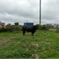 Thumbnail for '2016-06-07 15.24.06.jpg'