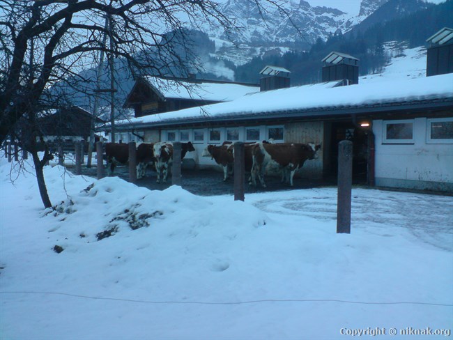 DSC01125.JPG