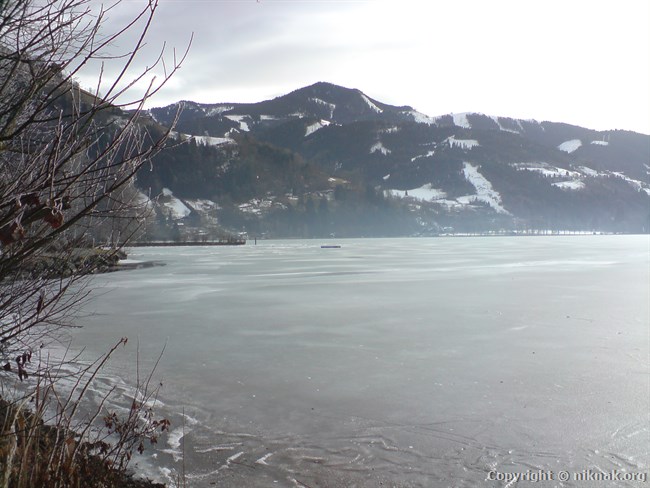 DSC01135.JPG