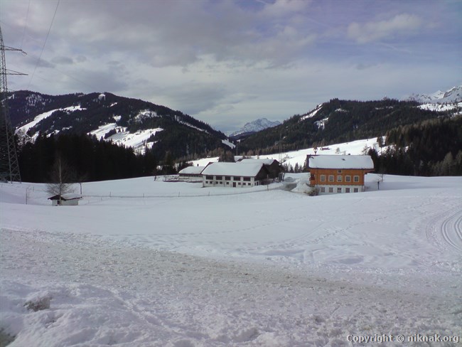 DSC01146.JPG