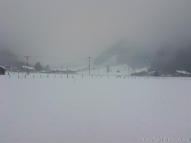 DSC01162.JPG