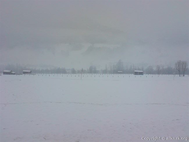 DSC01163.JPG