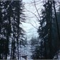 Thumbnail for 'DSC01170.JPG'