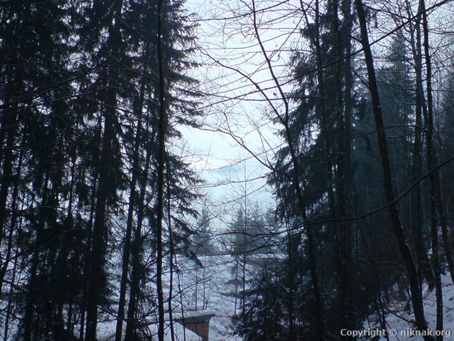 DSC01170.JPG