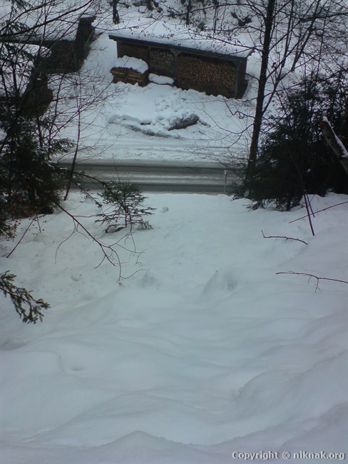 DSC01172.JPG