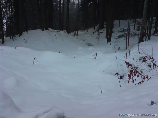DSC01173.JPG