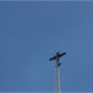 Thumbnail for '100_2658.JPG'