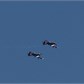 Thumbnail for '100_2668.JPG'