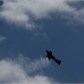 Thumbnail for '100_2671.JPG'